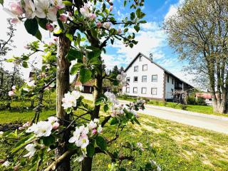 Ferienwohnung Ellenweiler bis 15 P - 9