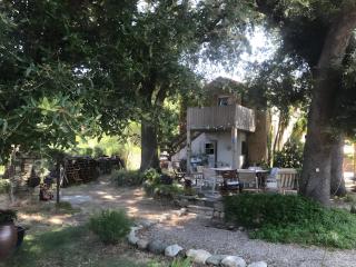 La Terrasse - 8