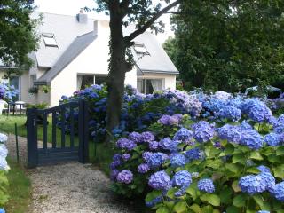 Les Brigantines - Chambres d'hôtes - Perros-Guirec - 5