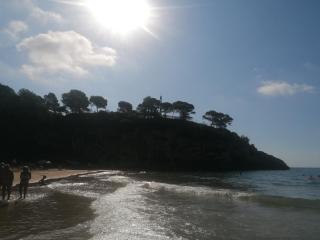 Apartamento Martin y Rose en Salou - 1