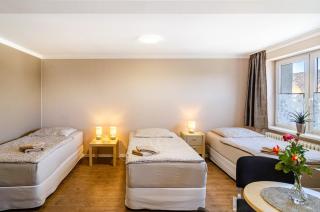 Alte Gärtnerei Fewo Veronika - 8