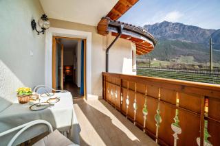 Obermoarhof Mutspitze 1 - 0