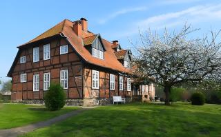 Gutshaus Benckendorf - Wohnung Erde - 7