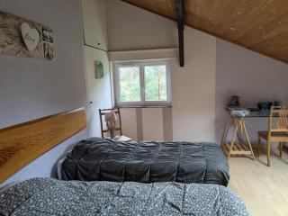 Gîte de la vallée, En Pleine Forêt - 4