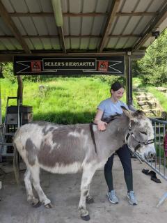 Gîte de la vallée, En Pleine Forêt - 2