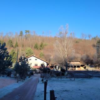 Gîte de la vallée, En Pleine Forêt - 6