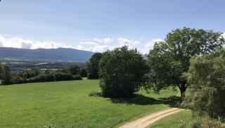 Gîte de l'Ain t'y piques - 9