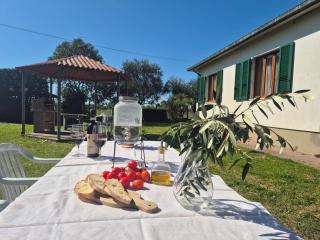 Casarosa in Toscana - 7