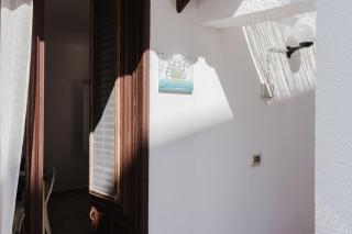 Sea Nest - 8