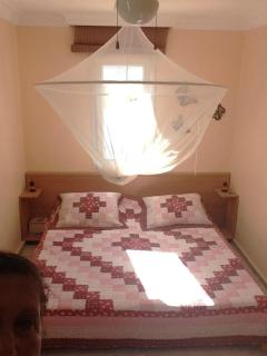 Cesme Pet Friendly Villa Near Beach with Garden - 7