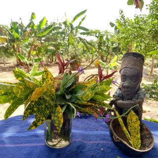 Farm Retreat Diannah - 0