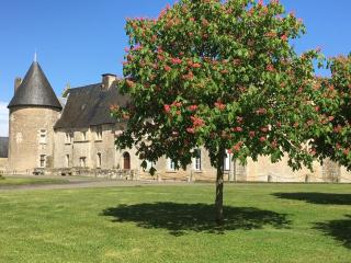 Gites Du Château De Saveilles - 0