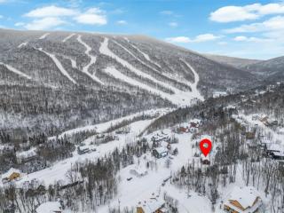 Le Skyvue - Massif du Sud Mountain View Pets - 2