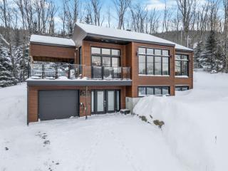 Le Skyvue - Massif du Sud Mountain View Pets - 0