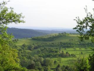 Ferienhaus Am Bauerngarten - 5