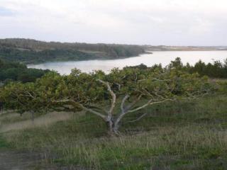 Cozy Coastal Cottage Retreat-By Traum - 4