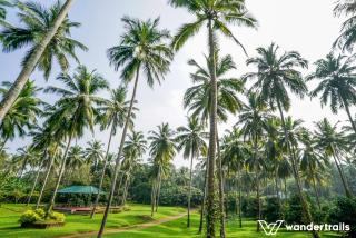Teak Town - Nilambūr - 6
