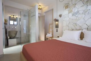 Modern Country Villa - 1