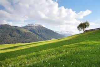 Dolce Casa vicino a Bormio - 2