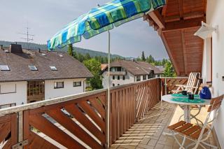 Fewo Cheny mit Hochschwarzwaldcard - Titisee-Neustadt - 9