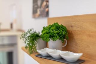 Fewo Bodenseeoase - Wangen - 3