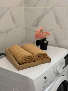 Vensky apartments - 1