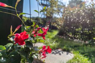 Ferienwohnung 250m zum Grimnitzsee - 9