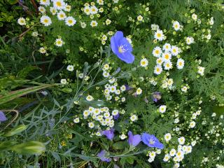 Apartment für 3, nicht für Monteure - 4