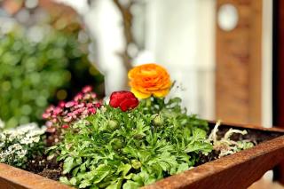 Obst- Und Ferienhof Marschall - 8