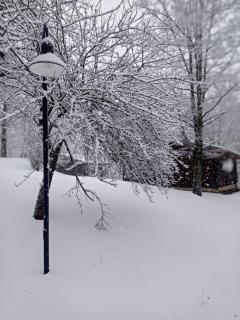 Villaggio Anemone Chalet Fragolina - 9