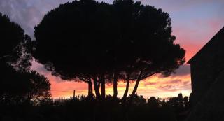 La Casa Rossa 2 - Bibbona - 1