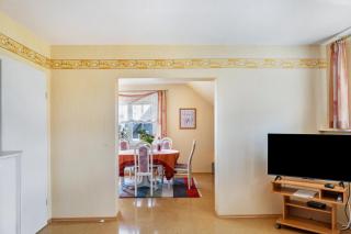 Sandhasen - Lauterbach - 4