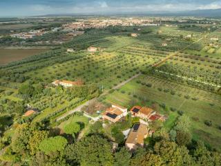 Agriturismo La Gatta E L'Olivo - Donoratico - 5