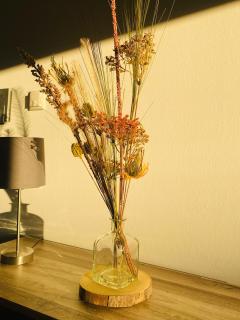 Blick Bergwinkel - 5