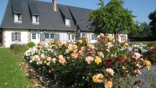 Manoir du Petit Saint-Pierre - 8
