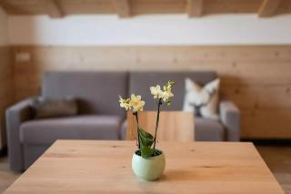 Natur Suite Edelweisshof App Tony - 3