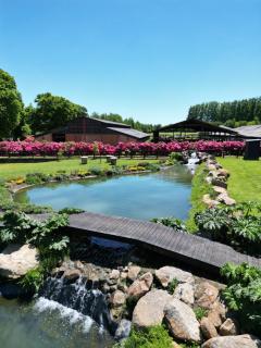 Hotel Gran Wolf - Haras Santa Amelia - 7