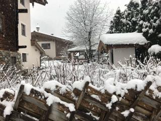 Geigerhaus 500 Jahre - Appt C - 6