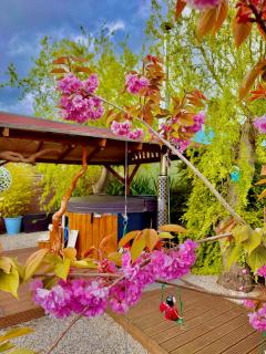 Alices Garden Two - 5