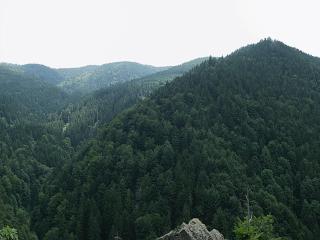Haus am Wald - Münstertal - 2