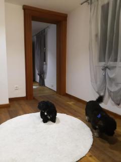 Haus am Fluss - Urft - 7