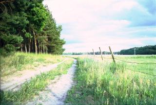 Ferienhaus Pirol - 5