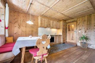 Mitterbruggehof Apt Alpenrose - 4