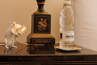 Suite dans une échoppe - Bègles - 9