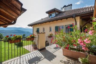 Weingut Lieselehof Apt Vitis - 7