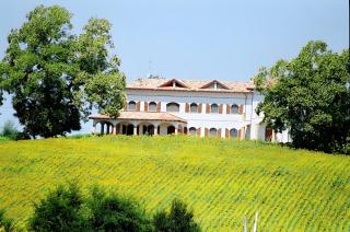 Agriturismo Cascina Favorita - 9