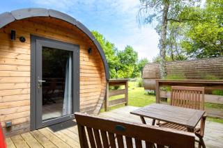 Otonneauxstress - Plagiste - 0