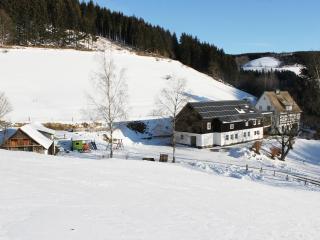 Fewo Schütte Mühle Schmallenberg - 1