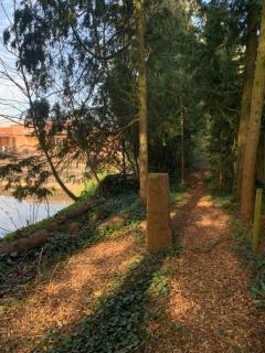 Huis De Mijmering - 9