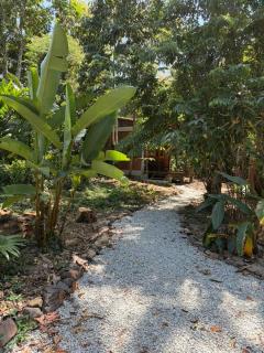 Kebun Lisdtari Farmstay Forest Cottage - 7